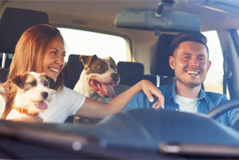 couple driving the car