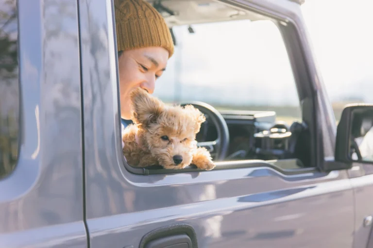 Dog carrier car seat