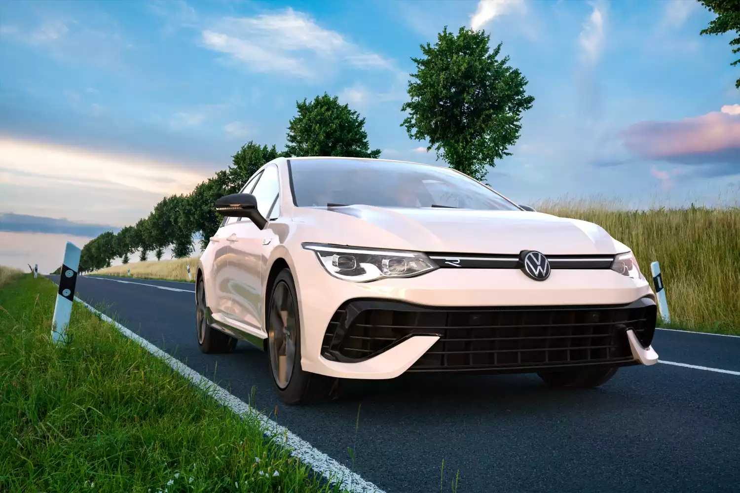 Wirehaired Pointing Griffons  Dog Safety Belt for Volkswagen Golf